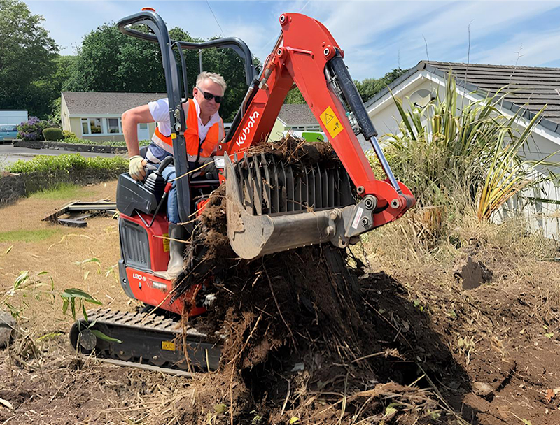 bamboo uprooting